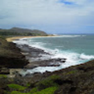 Meet your Posher, Catt